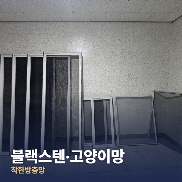 도봉구 블랙스텐·고양이망